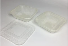 Vacuum Forming Plastic Tray