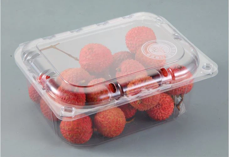 Sale Wholesale Food Packaging Disposable Plastic Fruit Box Take Out Container