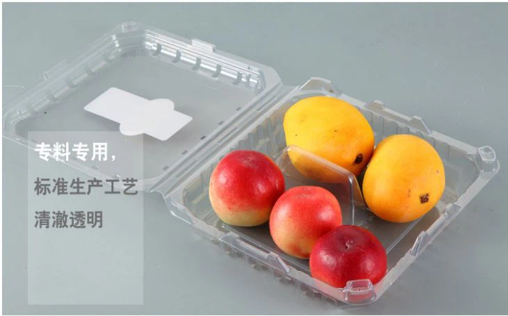 Sale Wholesale Food Packaging Disposable Plastic Fruit Box Take Out Container