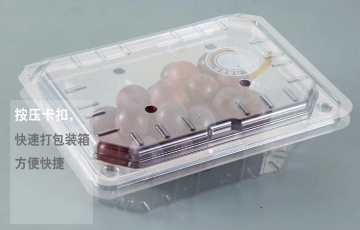 Sale Wholesale Food Packaging Disposable Plastic Fruit Box Take Out Container