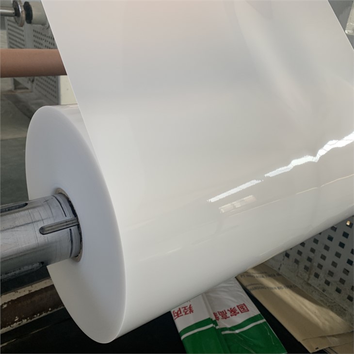 Thermoforming Polypropylene Sheet Roll